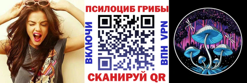 Галлюциногенные грибы прущие грибы  Купить закладки  Арзамас 